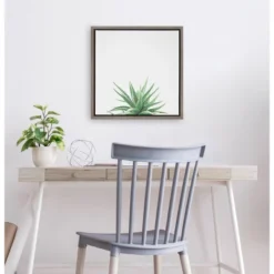 16" X 16" Succulent Simplicity I Neutral Framed Canvas Wall Art - Amanti Art -Lamps and Lighting Store GUEST 0707fa02 1a0f 4931 bd2f 2899d6dae562