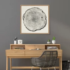 30" X 30" Sylvie Tree Rings Framed Wall Canvas By Emiko And Mark Franzen Natural - Kate & Laurel All Things Decor -Lamps and Lighting Store GUEST 07842e64 3f39 456f 8e89 25b069cd2d0f