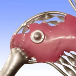 16" Pink Bird Wall Decor - National Tree Company