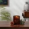 9oz Lidded Amber Glass Jar Crackling Wooden Wick Fennel And Pine Candle - Threshold™ 1 9oz Lidded Amber Glass Jar Crackling Wooden Wick Fennel And Pine Candle - Threshold™ -Lamps and Lighting Store GUEST 12b52490 9d00 4e2c 8c08 8dca32cfa8c6