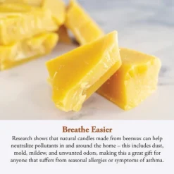 Candle By The Hour 144-Hour Candle Refill, Eco-friendly Natural Beeswax With Cotton Wick -Lamps and Lighting Store GUEST 1be736d2 98df 44a4 a9c7 7790105f7a35 1