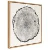 30" X 30" Sylvie Tree Rings Framed Wall Canvas By Emiko And Mark Franzen Natural - Kate & Laurel All Things Decor -Lamps and Lighting Store GUEST 291bfbc3 fab7 4f12 8bfe 4f5525642752