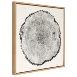 30" X 30" Sylvie Tree Rings Framed Wall Canvas By Emiko And Mark Franzen Natural - Kate & Laurel All Things Decor
