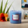 28oz Glass Moonlit Hibiscus Candle Light Blue - Opalhouse™ -Lamps and Lighting Store GUEST 2c95080b 9726 45aa 9b0e 3946015c92e0