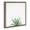 16" X 16" Succulent Simplicity I Neutral Framed Canvas Wall Art - Amanti Art -Lamps and Lighting Store GUEST 31f05cb4 308b 4240 96f7 80d6ad52124e