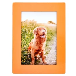 Juvale 15-Pack 4x6 Magnetic Picture Frames For Refrigerator, Locker, Office, Kitchen Cabinet, Classroom, Holds 4x6 Photos, 5 Colorful Borders 12 Juvale 15-Pack 4x6 Magnetic Picture Frames For Refrigerator, Locker, Office, Kitchen Cabinet, Classroom, Holds 4x6 Photos, 5 Colorful Borders -Lamps and Lighting Store GUEST 34c2f69c b58a 4f01 99b5 434f35918508