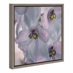 16" X 16" USA, Washington State, Seabeck. Delphinium Blossoms Close-up. Framed Canvas Wall Art - Amanti Art