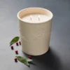 25oz Ceramic Bay & Winter Berry Candle Cream - Threshold™ Designed With Studio McGee -Lamps and Lighting Store GUEST 6c0fa399 d0e6 4a23 be89 206c3594074c