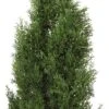 Nearly Natural 4' Cedar Tree Silk Tree (In-door/Out-door) 1 Nearly Natural 4' Cedar Tree Silk Tree (In-door/Out-door) -Lamps and Lighting Store GUEST 8228e995 0945 45f7 8a73 1b8135e11763