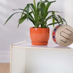 Guidecraft EdQ 2-Shelf Open Storage - 24" -Lamps and Lighting Store GUEST 862cca7d d1d0 4c13 9160 88377d7da020