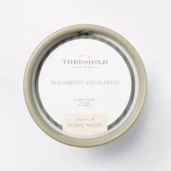 20oz Ceramic Blackberry Eucalyptus Candle Green - Threshold™ Designed With Studio McGee -Lamps and Lighting Store GUEST 870ce181 98d9 4be6 a455 6aadadca64e1