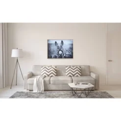 38.7" X 28.7" Donkey On Canvas Framed Wall Art Black/White -Storied Home -Lamps and Lighting Store GUEST ad2dcb23 7522 4932 8629 e20574aa9094