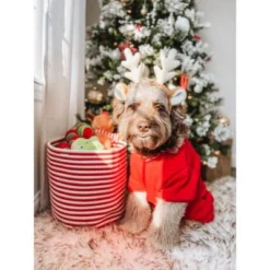 Midlee Candy Cane Rope Basket -Lamps and Lighting Store GUEST b062a559 ef39 4fea 9911 f97f9052b9fe