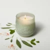 12oz Serenity Fashion Salted Glass Candle Green - Casaluna™ -Lamps and Lighting Store GUEST cd9f6596 7045 464c 966e 8dcb30552594