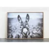 38.7" X 28.7" Donkey On Canvas Framed Wall Art Black/White -Storied Home -Lamps and Lighting Store GUEST d3f01406 c331 4037 b80e 9385723d6ef1